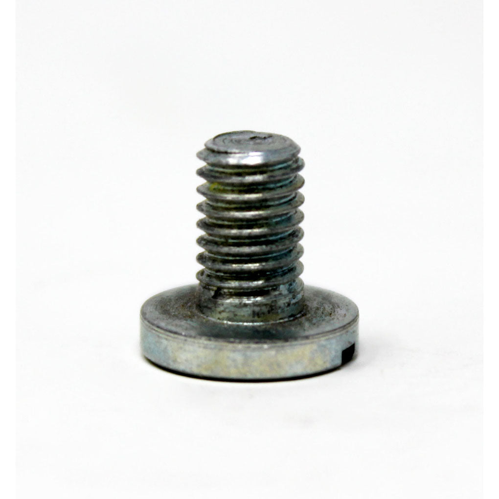 Screw