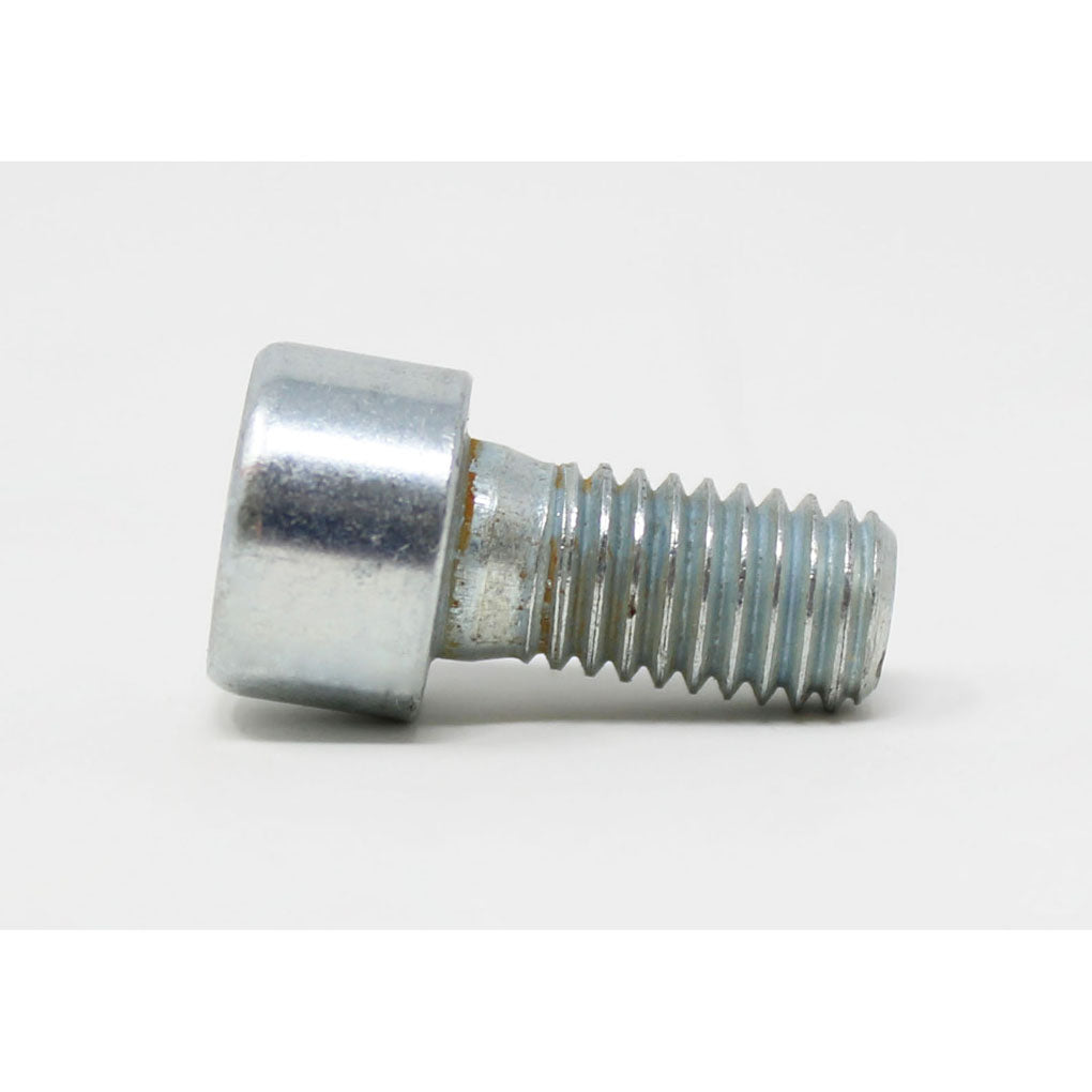 Screw
